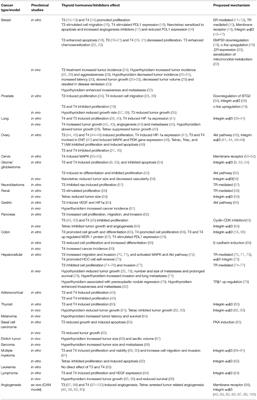 Thyroid Hormones and Cancer: A Comprehensive Review of Preclinical and Clinical Studies